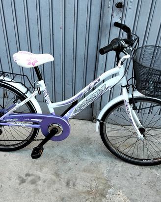 bicicletta ruota 24