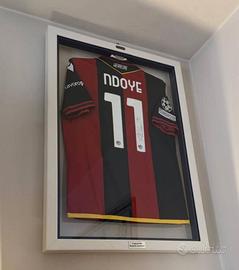 Maglia BOLOGNA BFC Ndoye match worn calcio in teca
