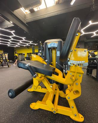 Leg extension basculante