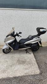 scoter