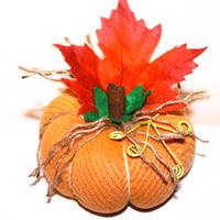Zucchetta autunnale di Hallowen
