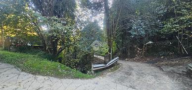 TER. AGRICOLO A RAPALLO