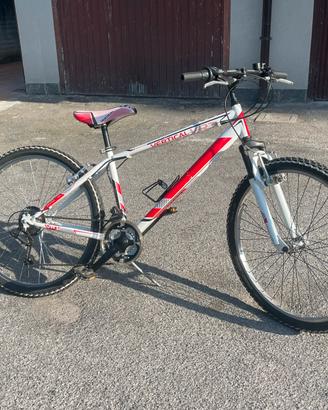 Bicicletta MTB mondial vertical limit da 26