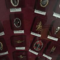 Collezione. Fregi militari