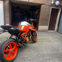 Scarico Austin racing duke 1290 3.0