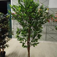 PIANTE artificiali NUOVE  180cm     FATTE A MANO 