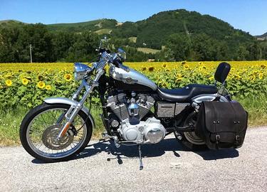 Harley Davidson 883 XL customer