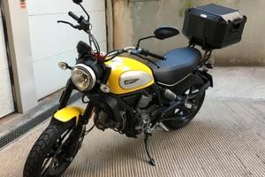 DUCATI SCRAMBLER  800 ICON YELLOW