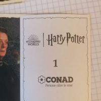 Blocco 63 figurine Harry Potter Conad