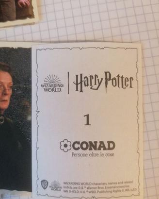Blocco 63 figurine Harry Potter Conad