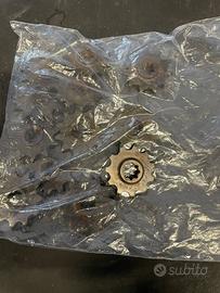 Pignoni Minarelli RV4/RV3/DL3