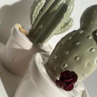 Cactus decorativo in ceramica