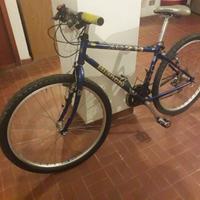 Bici MTB