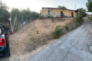Terreno e rustico 28.000 trattabili