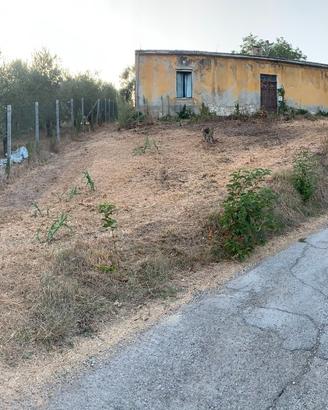 Terreno e rustico 28.000 trattabili