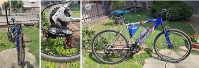 mountain bike bottecchia