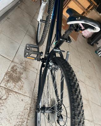 Bici mtb