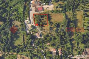 Terreno Agricolo Castel San Giorgio
