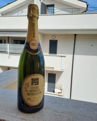 Berlucchi vintage