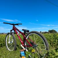 Bici dartmoor freeride slopestyle dirt