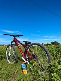 Bici dartmoor freeride slopestyle dirt