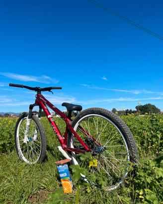 Bici dartmoor freeride slopestyle dirt