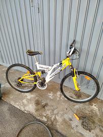 Bici Montano 24