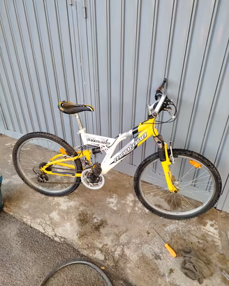 Bici Montano 24