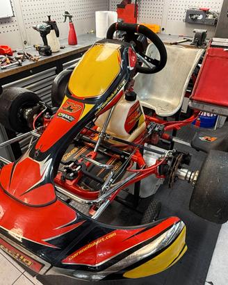 Stupendo kart completo pronto pista 125KZ
