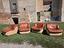 Immagine 6