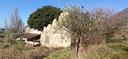 ter-agricolo-a-vo-