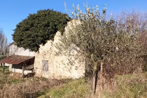 TER. AGRICOLO A VO'