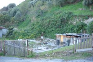 Terreno Agricolo - Guardialfiera