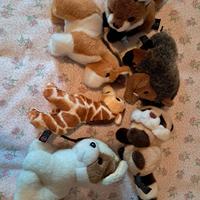 Peluches Trudi piccoli usati