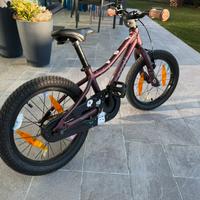 Bici Scott 20’