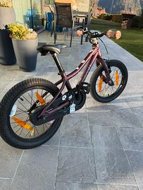 Bici Scott 20’