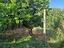 Immagine 26