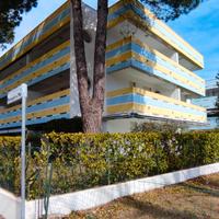 Vacanze per 4/6 persone nella splendida Pineta