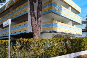 Vacanze per 4/6 persone nella splendida Pineta