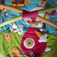 Palestrina attrezzata tappeto Brevi