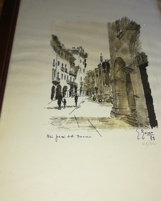 Vedute di Pinerolo