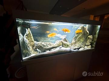 Acquario Juwel Rio 450 con mobile originale bianco