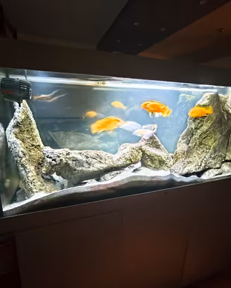 Acquario Juwel Rio 450 con mobile originale bianco