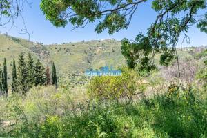 VILLETTA: GRATTERI - CONTRADA MISERINI In posizion