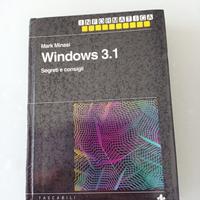 Vintage computing - Windows 3.1 Segreti e consigli