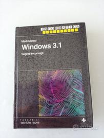 Vintage computing - Windows 3.1 Segreti e consigli