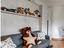 Immagine 1