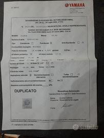Barca con due motori