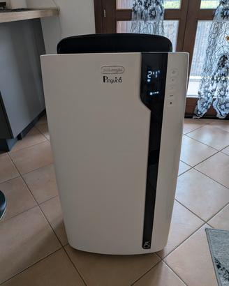 condizionatore portatile DeLonghi pinguino 