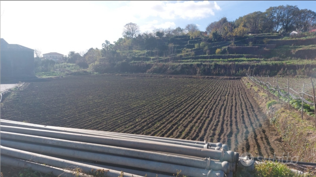 Terreno pianeggiante con cubatura, Guardia Mangano